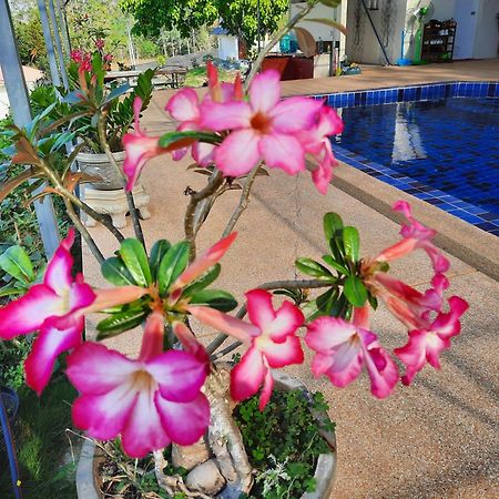 Lemax Homestay And Thailand Tours Phetchaburi Eksteriør bilde