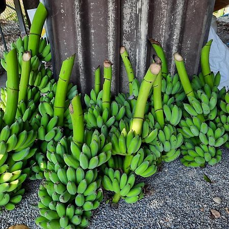 Lemax Homestay And Thailand Tours Phetchaburi Eksteriør bilde