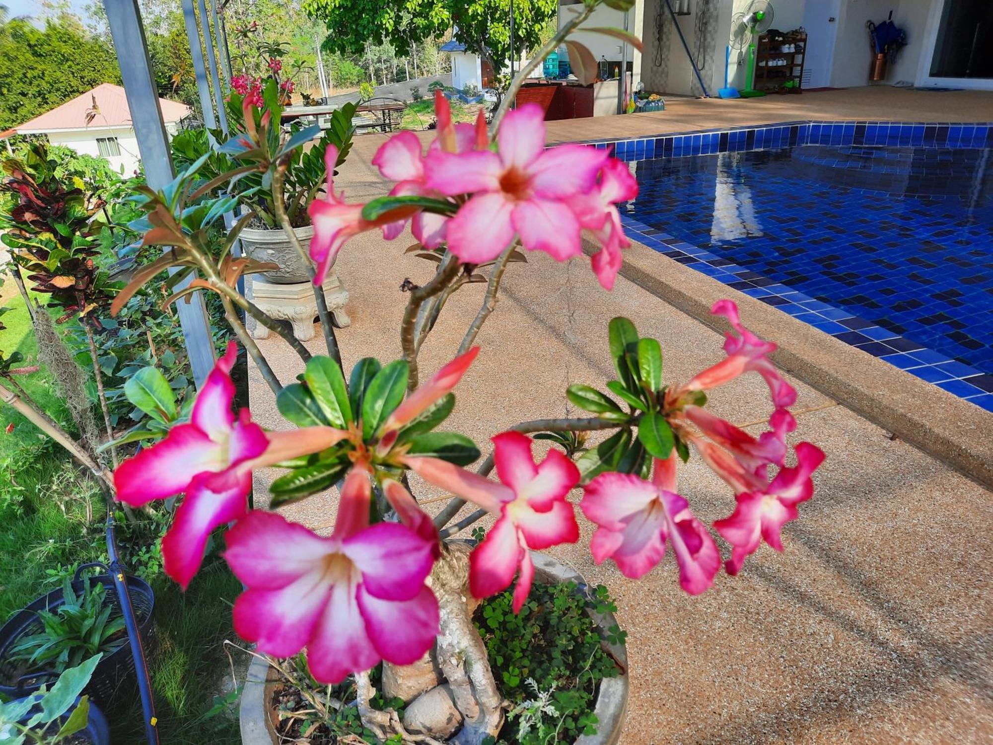 Lemax Homestay And Thailand Tours Phetchaburi Eksteriør bilde